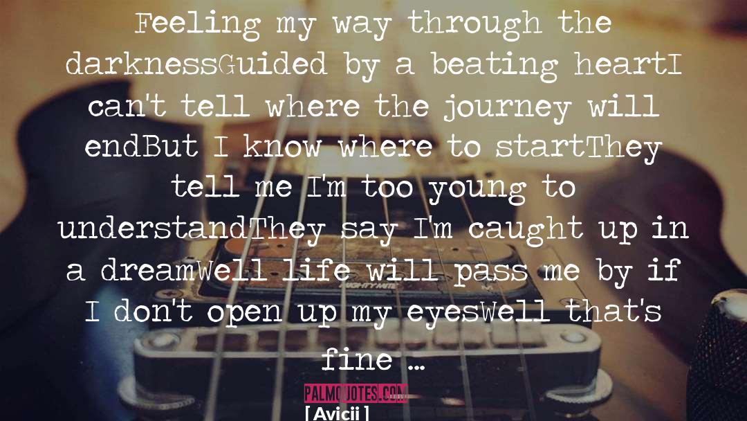 Secret Songs quotes by Avicii