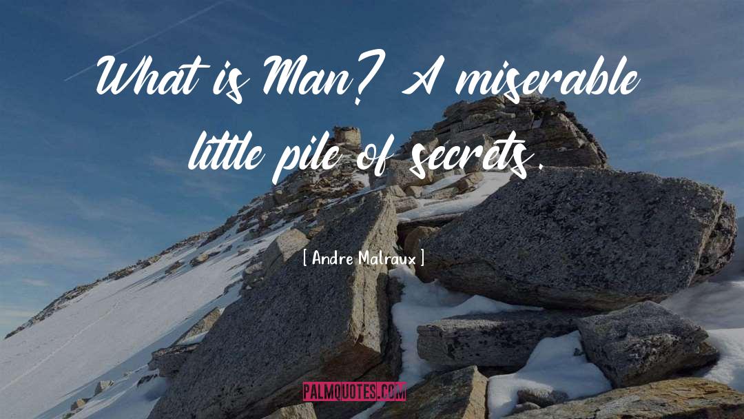 Secret Telling quotes by Andre Malraux