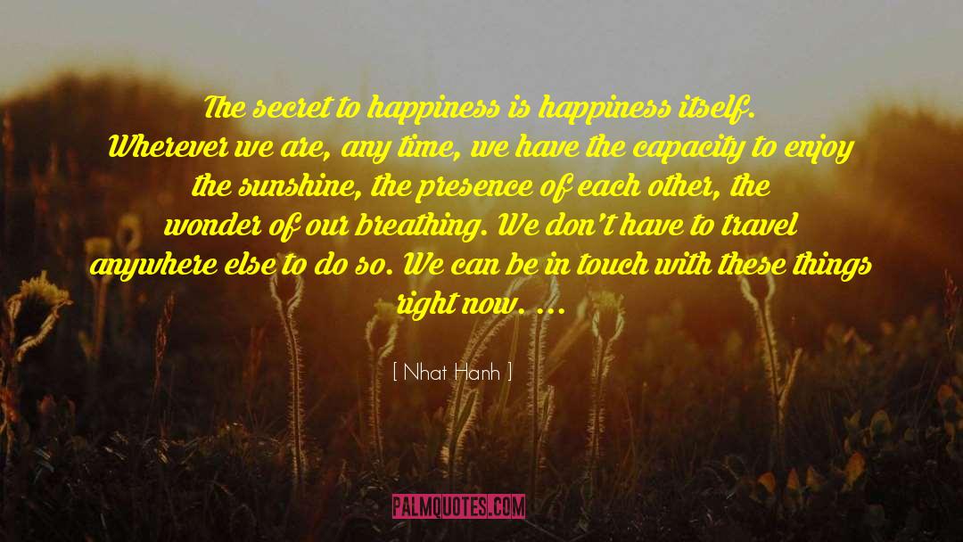 Secret To Happiness quotes by Nhat Hanh