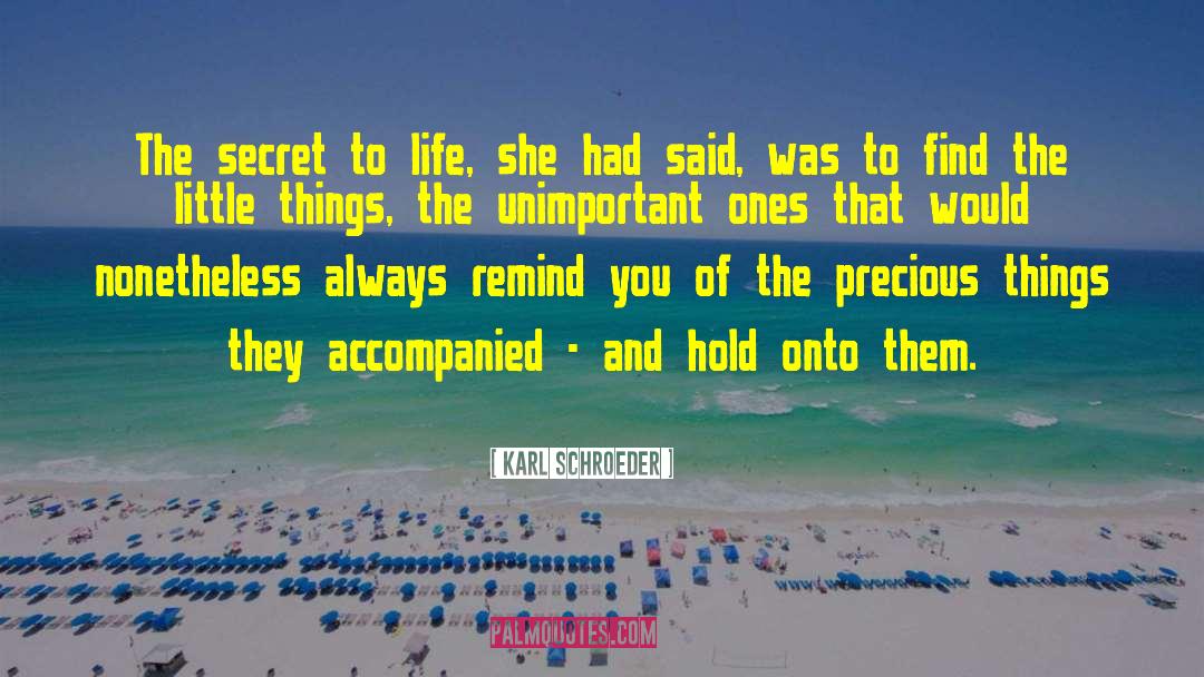 Secret To Life quotes by Karl Schroeder