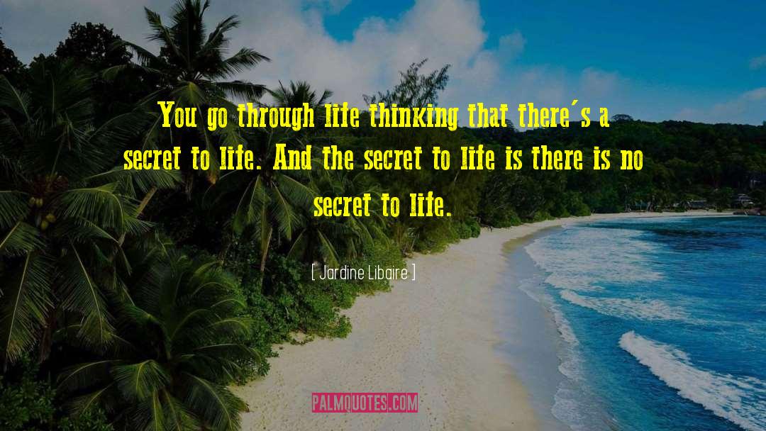 Secret To Life quotes by Jardine Libaire