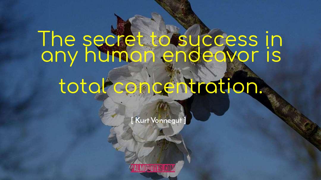 Secret To Success quotes by Kurt Vonnegut