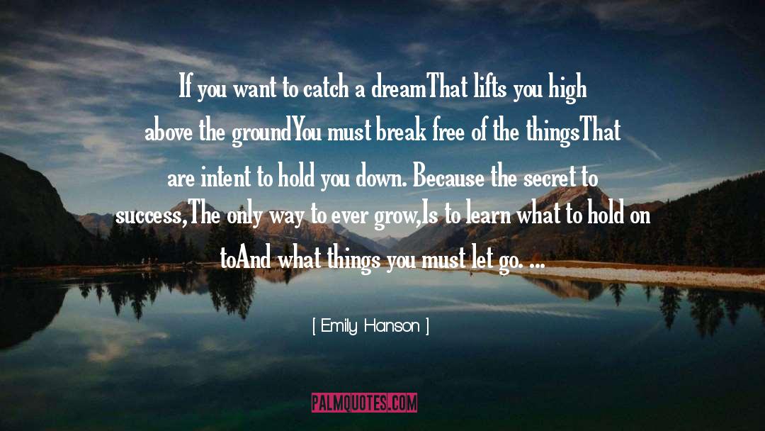 Secret To Success quotes by Emily Hanson