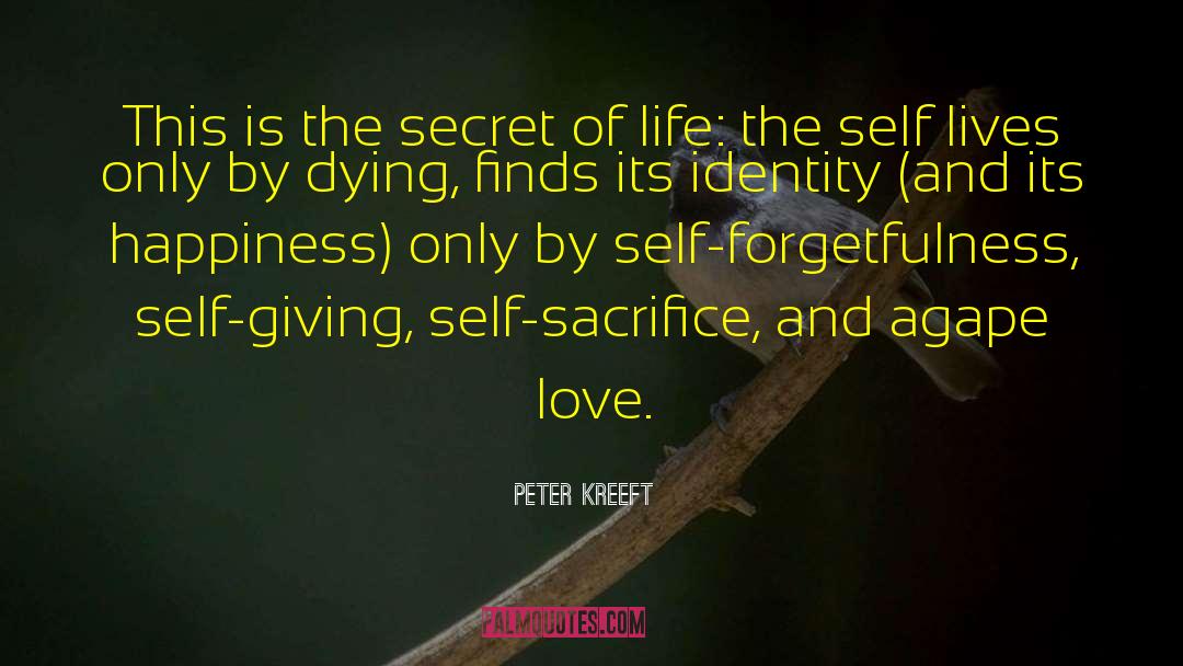 Secret Weapon quotes by Peter Kreeft