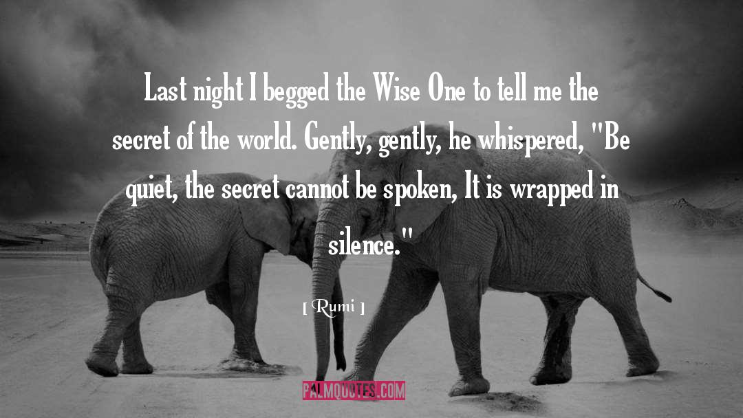 Secret World Of Og quotes by Rumi