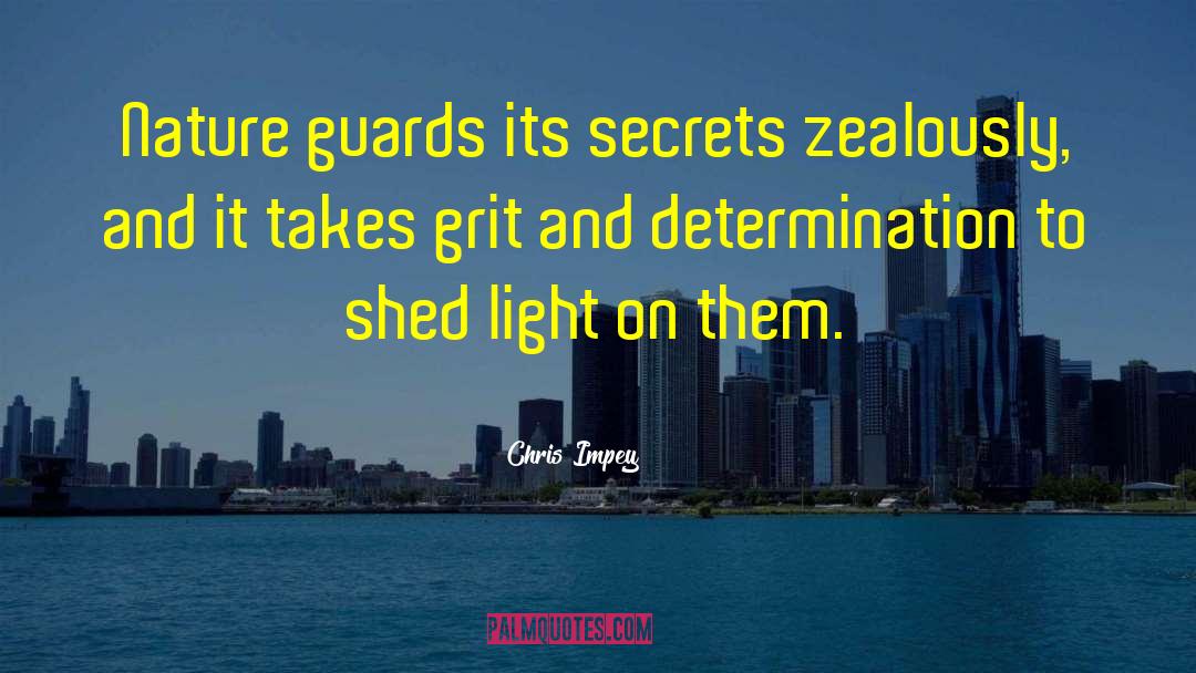 Secrets Exposed quotes by Chris Impey