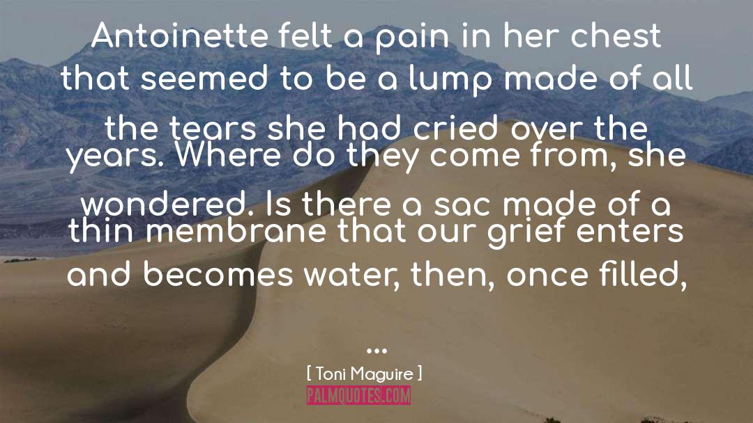 Secrets Pain quotes by Toni Maguire