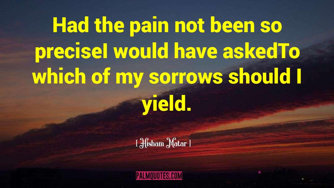 Secrets Pain quotes by Hisham Matar