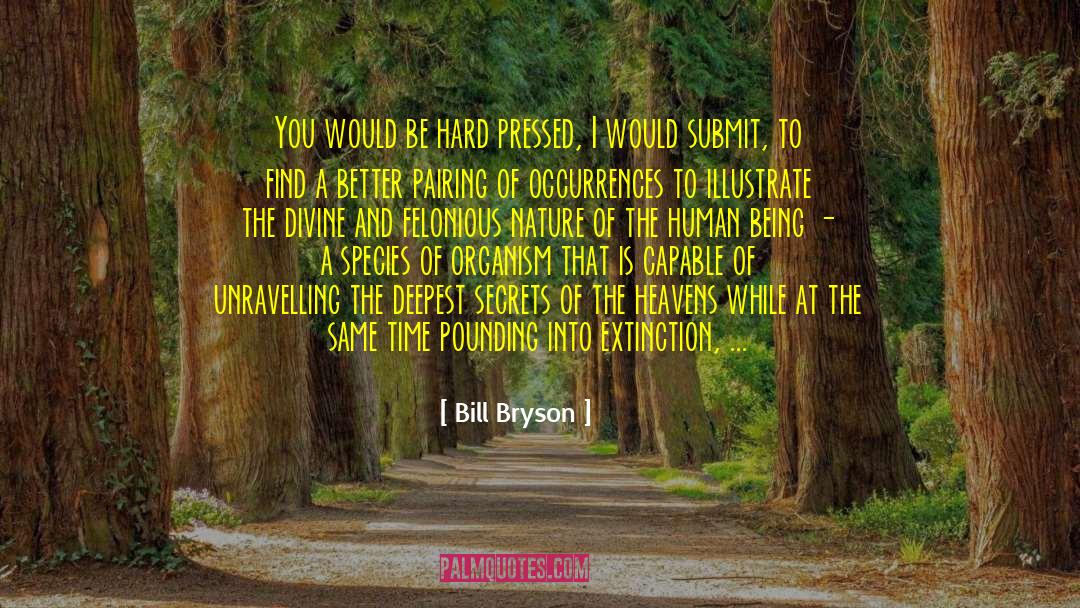 Secrets We Keep quotes by Bill Bryson