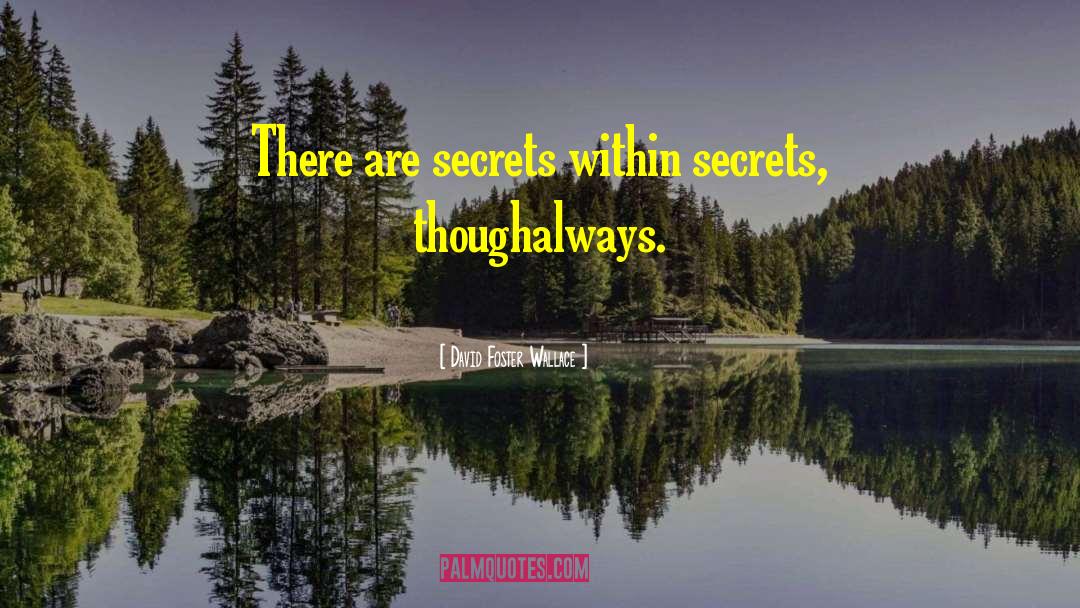 Secrets Within quotes by David Foster Wallace