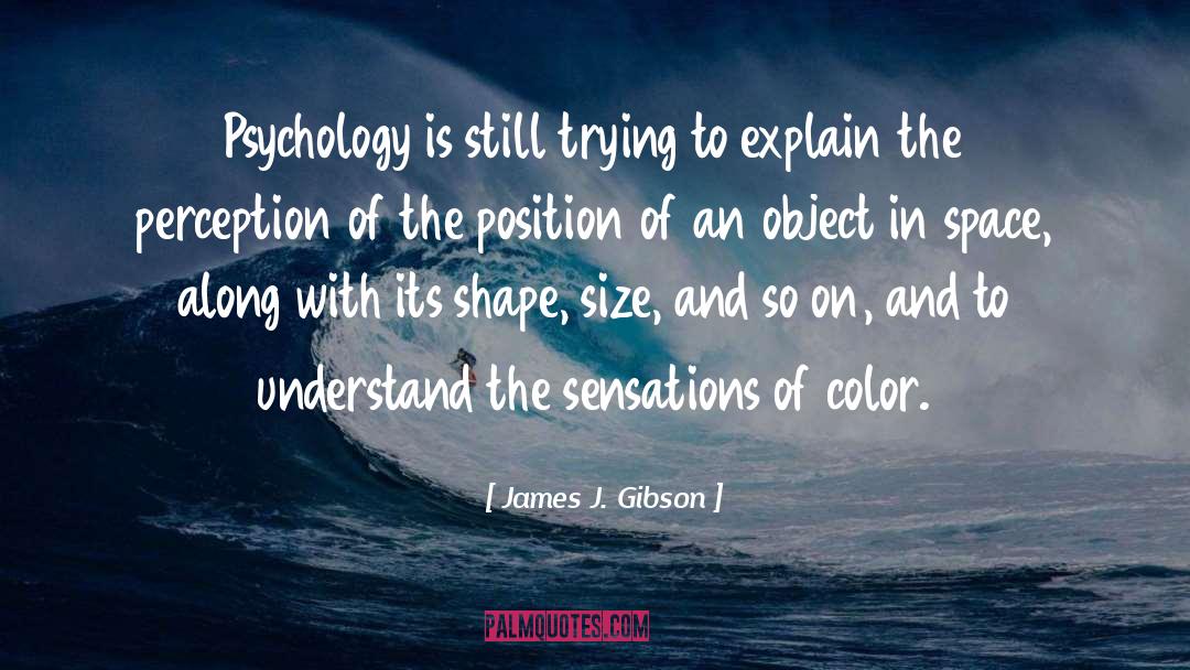 Secular Psychology quotes by James J. Gibson