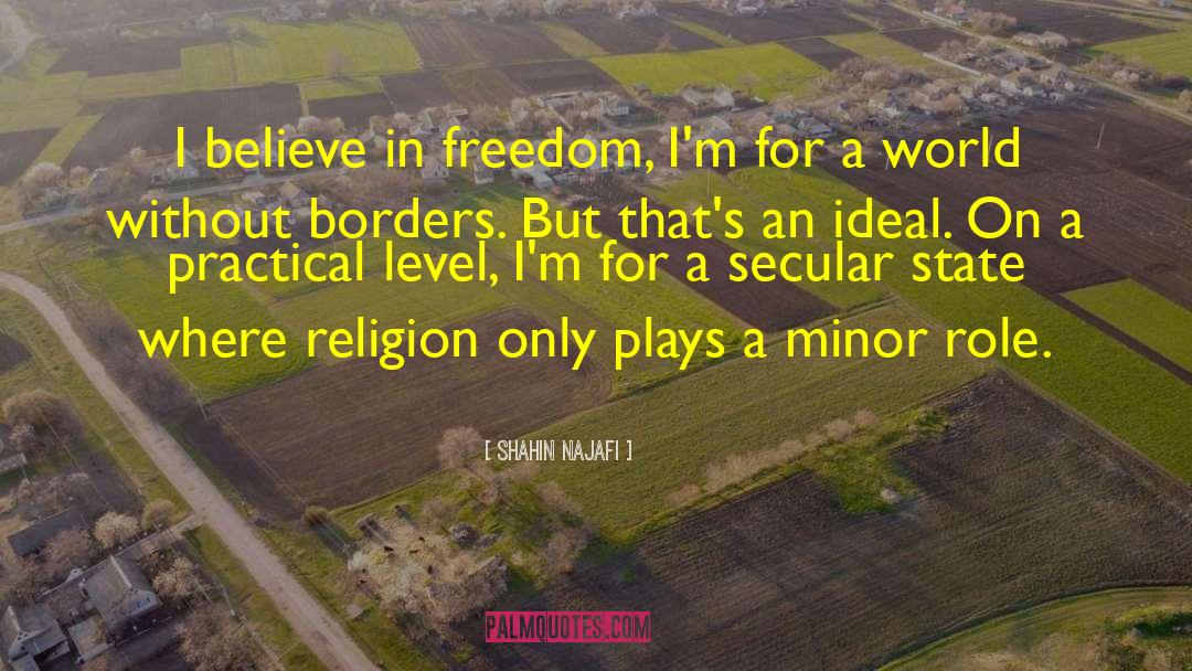 Secular State quotes by Shahin Najafi