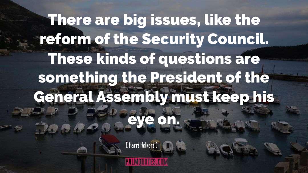 Security Council quotes by Harri Holkeri