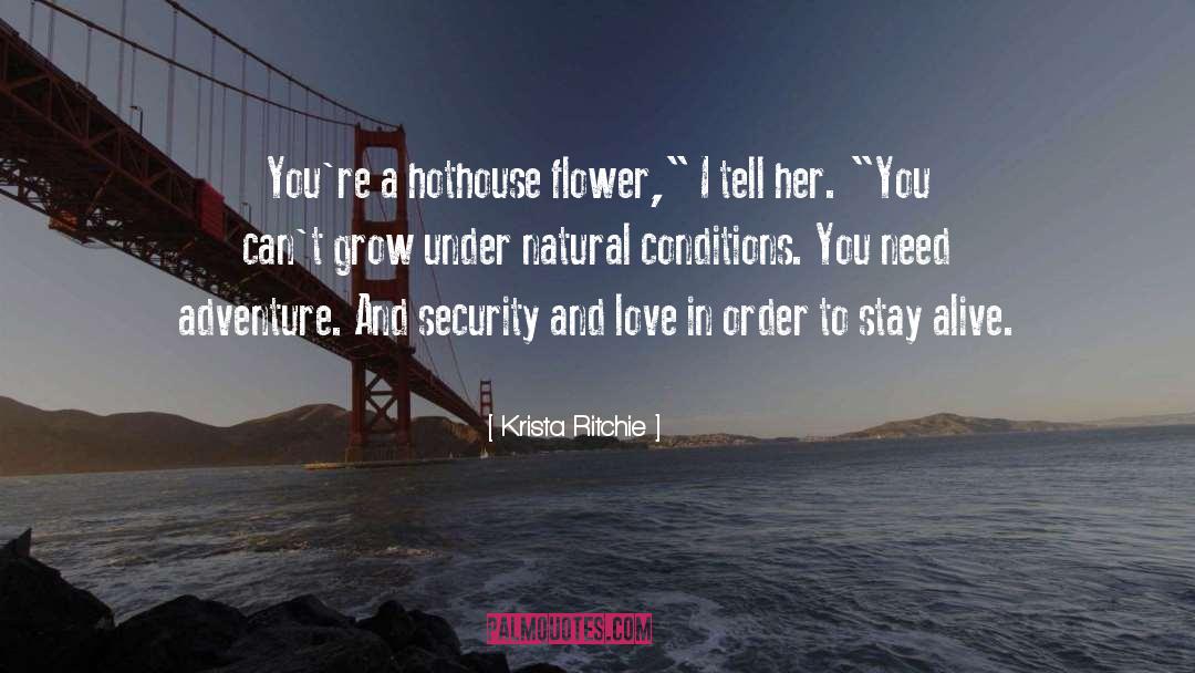 Security quotes by Krista Ritchie