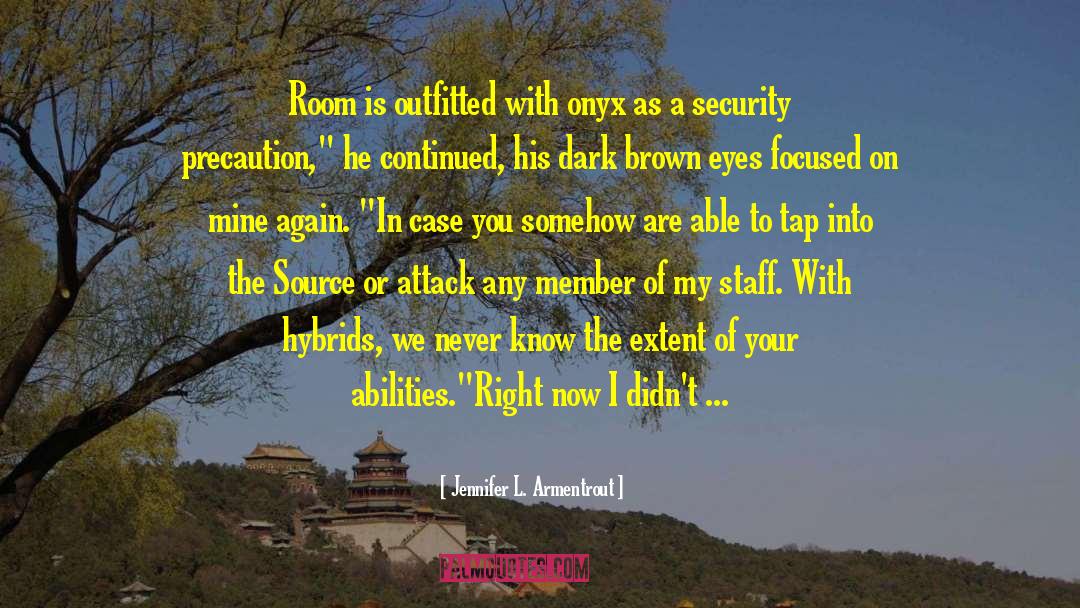 Security System quotes by Jennifer L. Armentrout