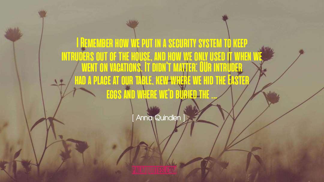 Security System quotes by Anna Quindlen