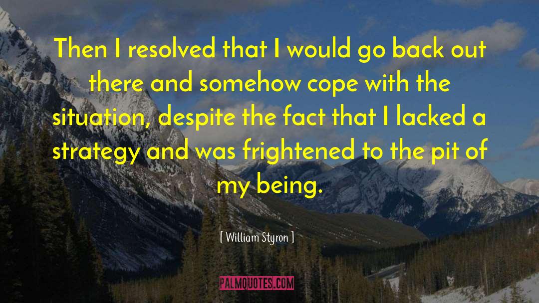 Seduction Strategy quotes by William Styron