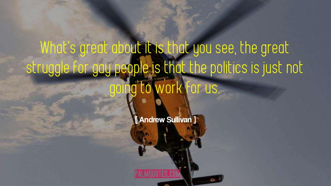 See For Yourself quotes by Andrew Sullivan
