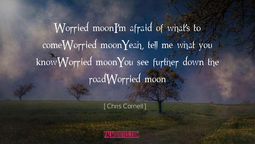 See Further quotes by Chris Cornell