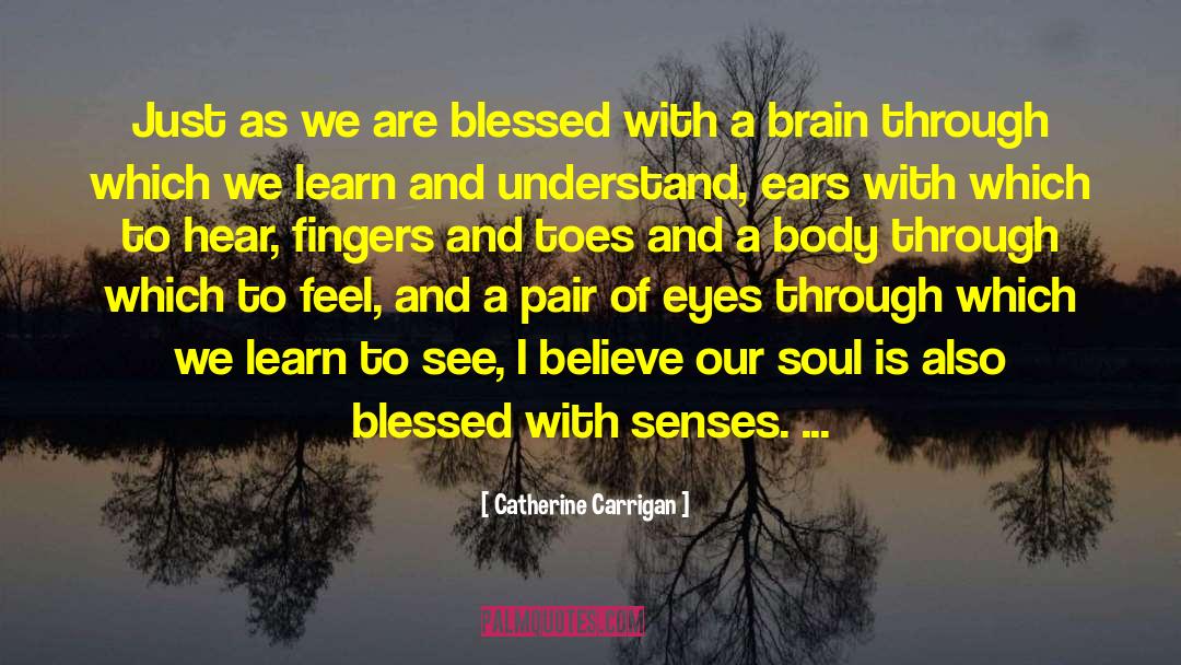See Further quotes by Catherine Carrigan
