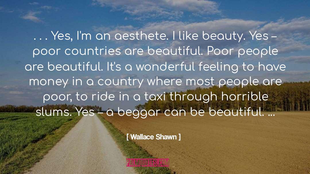 See The Beauty In Simple Things quotes by Wallace Shawn
