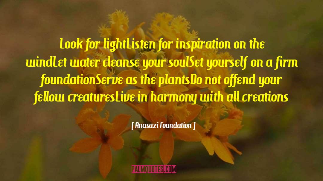 See Your Soul quotes by Anasazi Foundation