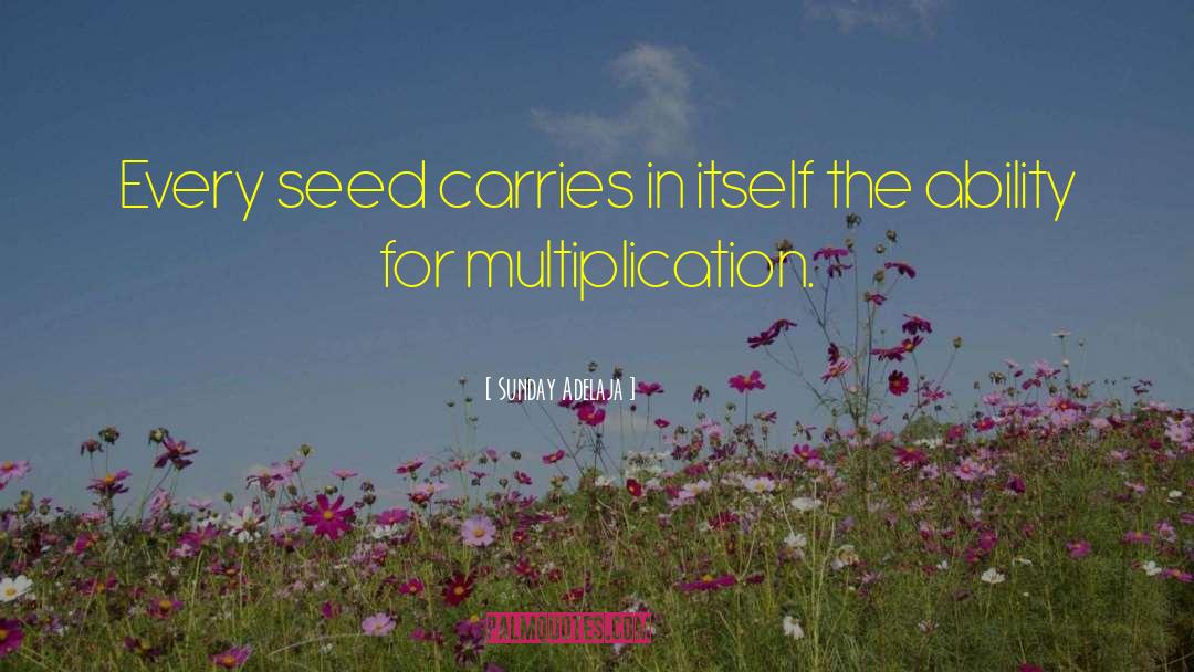 Seed And Multiplication quotes by Sunday Adelaja