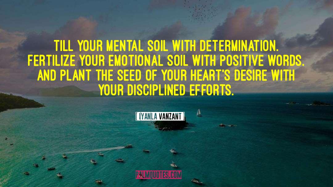 Seed Dispersal quotes by Iyanla Vanzant