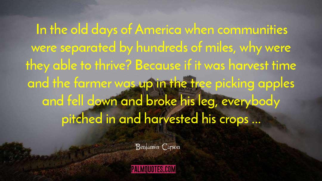 Seed Harvest Time quotes by Benjamin Carson