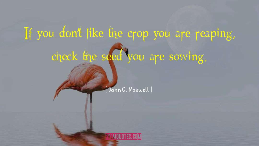 Seed Mantra quotes by John C. Maxwell