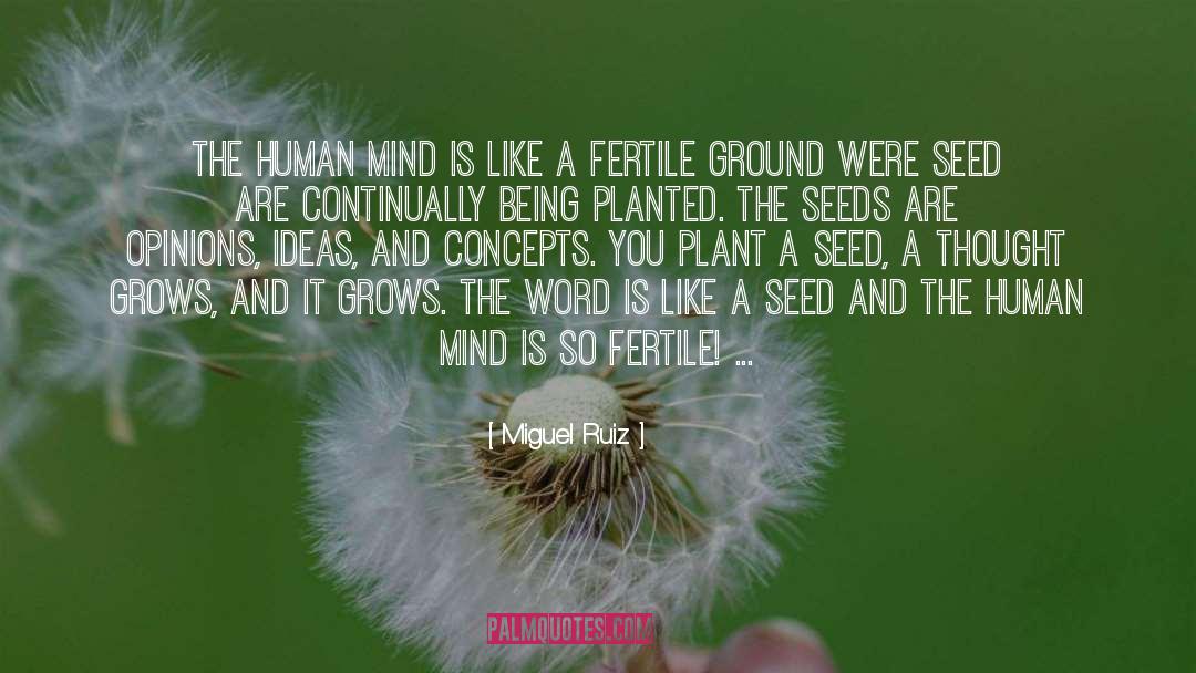 Seed Mantra quotes by Miguel Ruiz