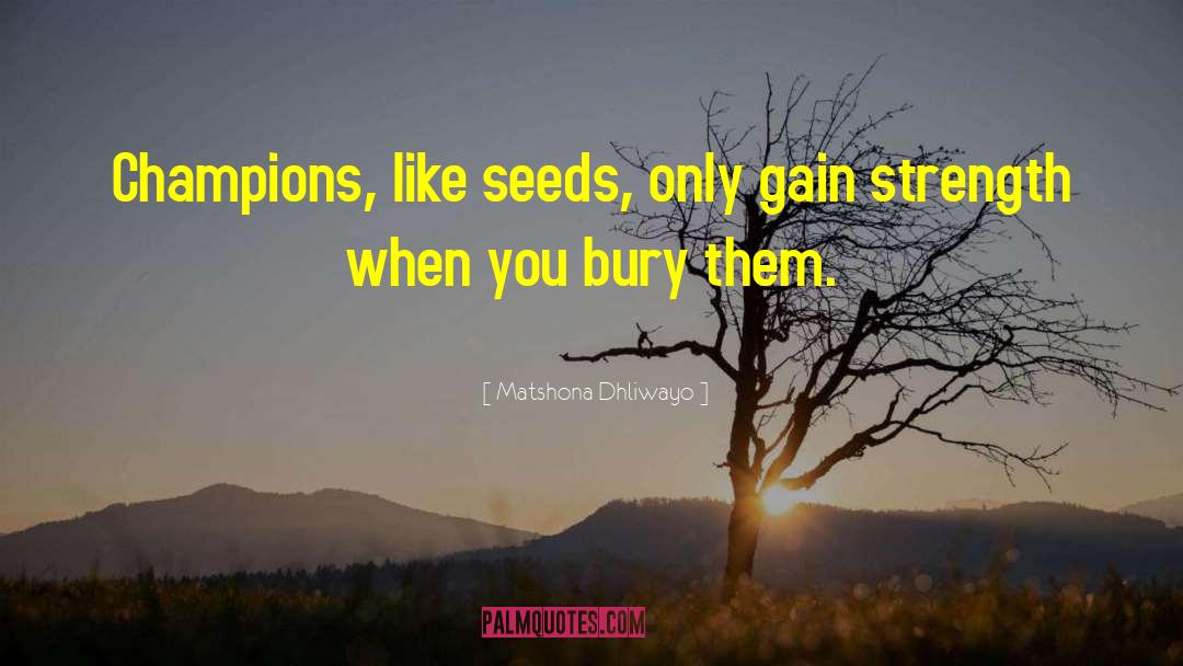Seed Mantra quotes by Matshona Dhliwayo