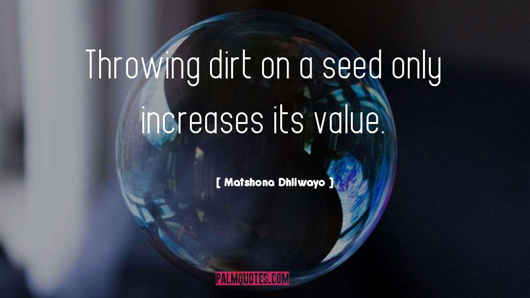 Seed Mantras quotes by Matshona Dhliwayo