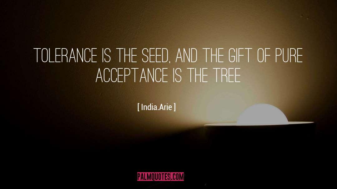 Seed Mantras quotes by India.Arie