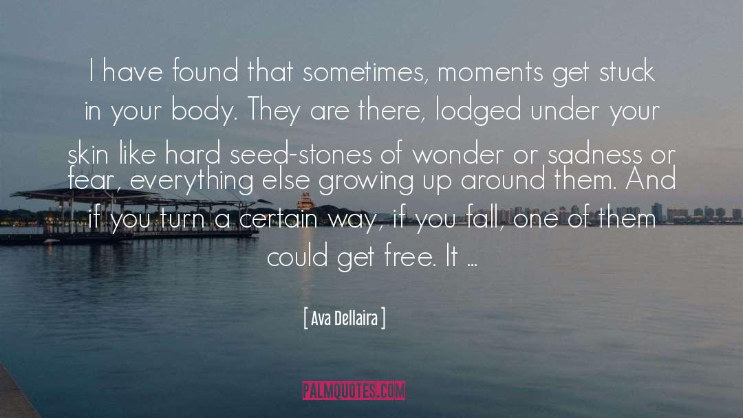 Seed quotes by Ava Dellaira