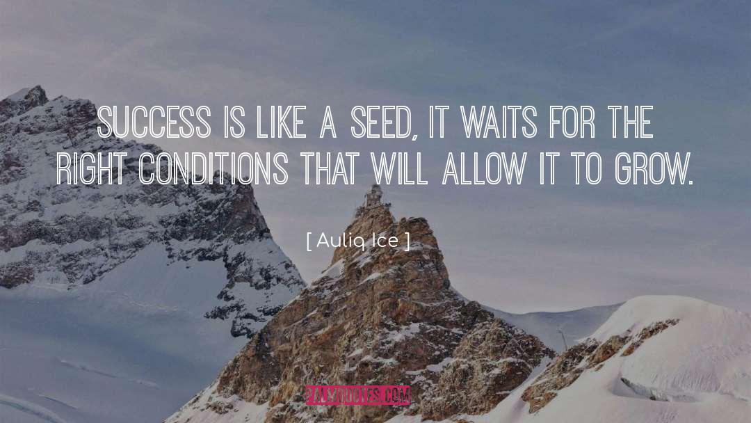 Seed quotes by Auliq Ice