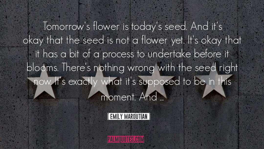 Seed quotes by Emily Maroutian