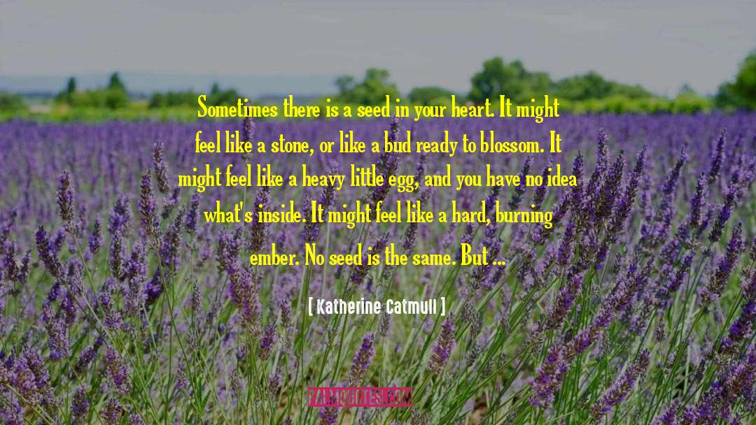Seed The Untold quotes by Katherine Catmull