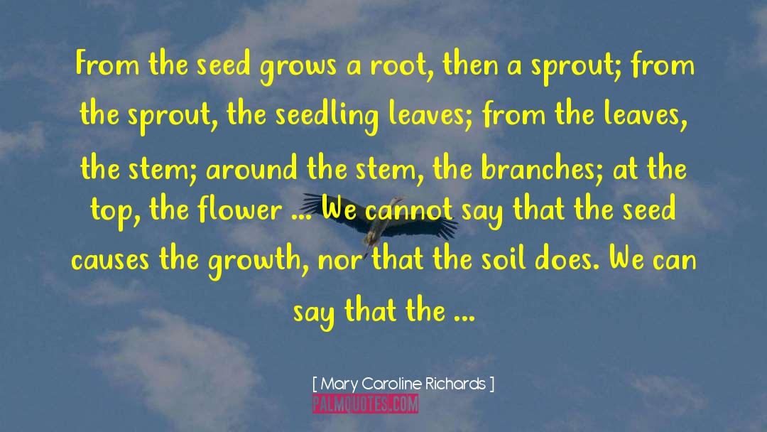 Seedlings quotes by Mary Caroline Richards