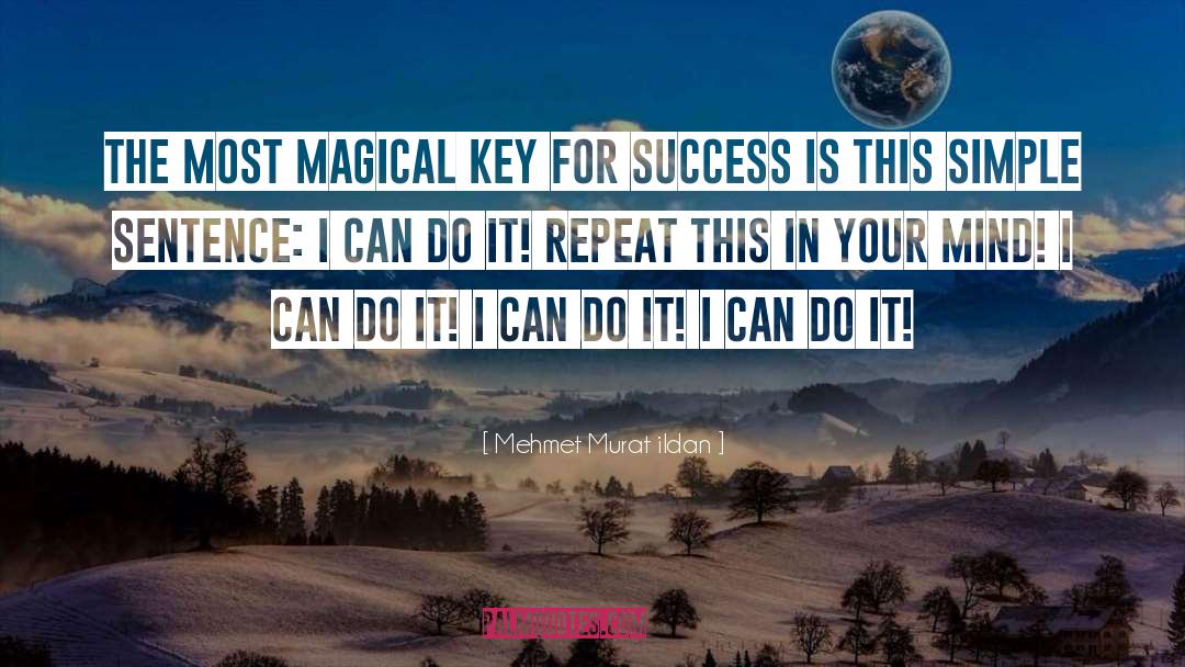 Seeds For Success quotes by Mehmet Murat Ildan