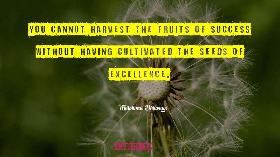 Seeds Of Greatness quotes by Matshona Dhliwayo