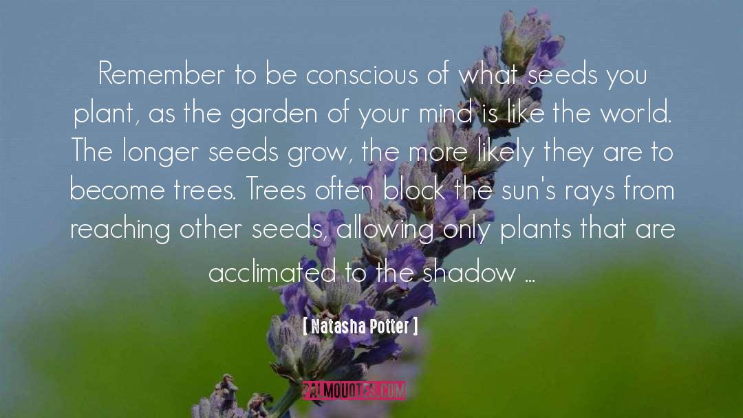 Seeds quotes by Natasha Potter