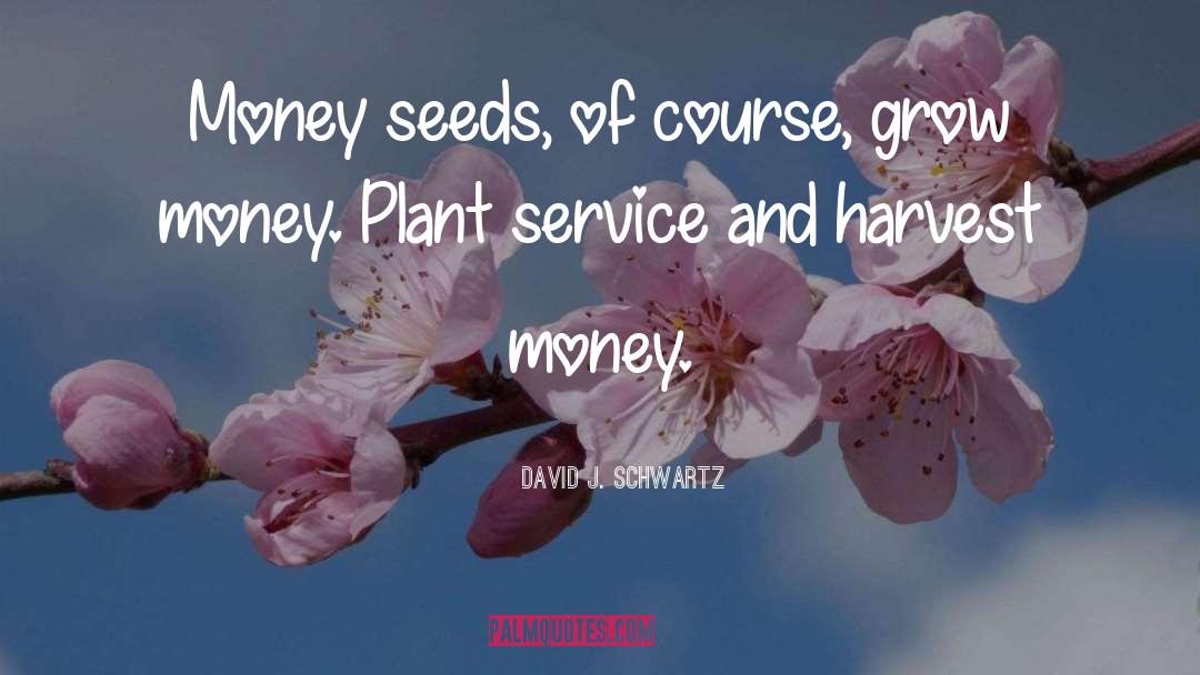 Seeds quotes by David J. Schwartz