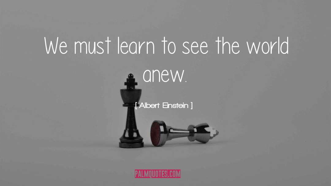 Seeing Anew quotes by Albert Einstein