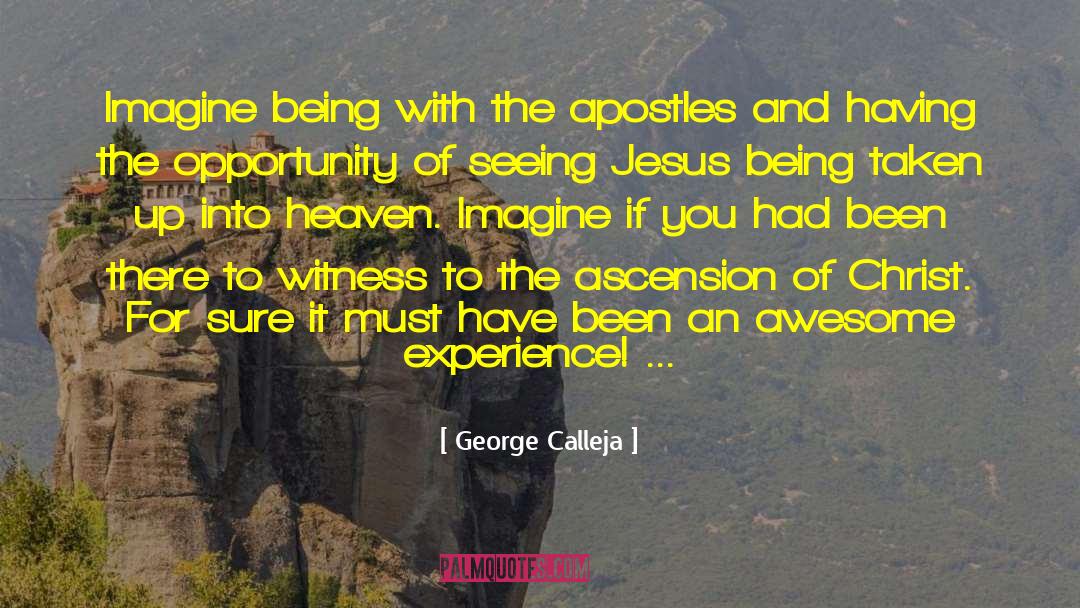 Seeing Jesus quotes by George Calleja