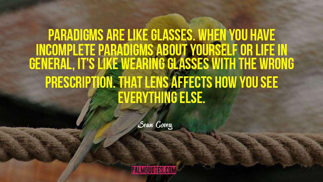 Seeing Life Through A Lens quotes by Sean Covey