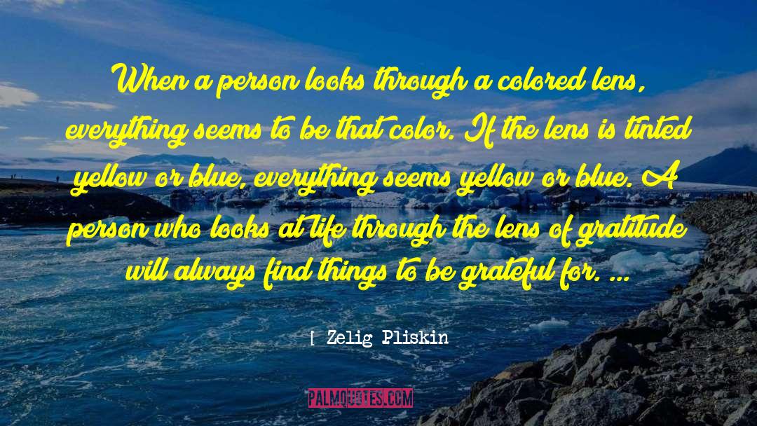 Seeing Life Through A Lens quotes by Zelig Pliskin