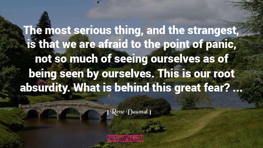 Seeing Ourselves quotes by Rene Daumal
