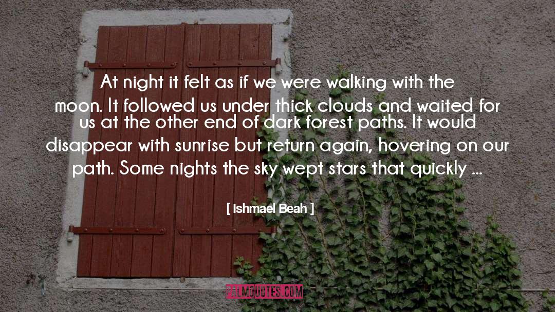 Seeing Sunrise quotes by Ishmael Beah