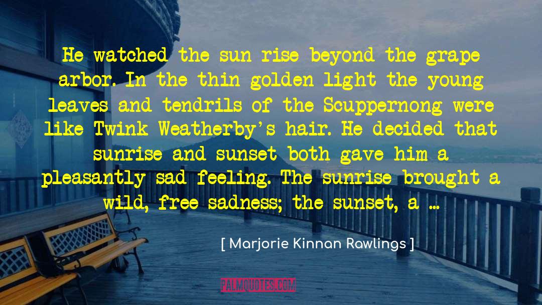 Seeing Sunrise quotes by Marjorie Kinnan Rawlings